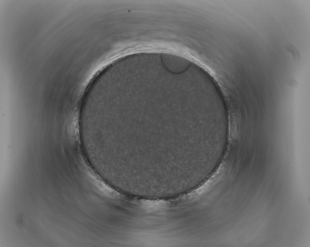 X0000112071498200908181209