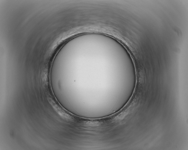 X0000112071499200908181209