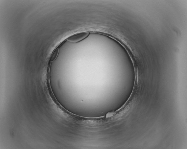 X0000112071500200908181209