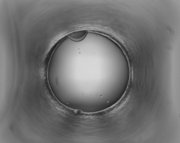 X0000112071501200908181209