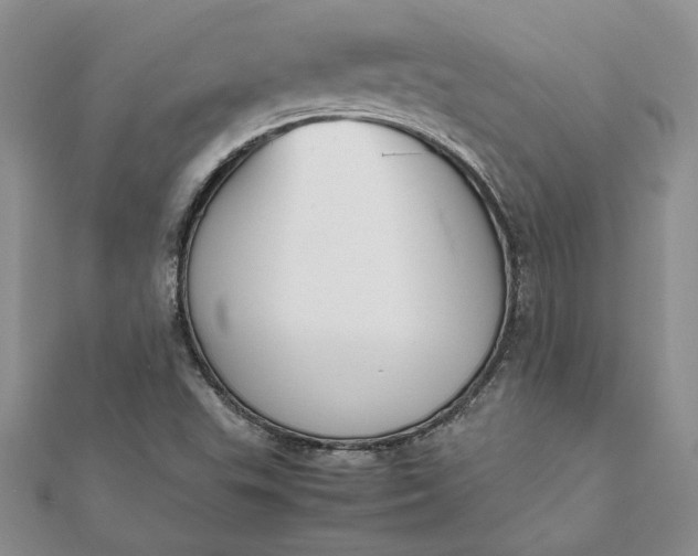 X0000112071503200908181209