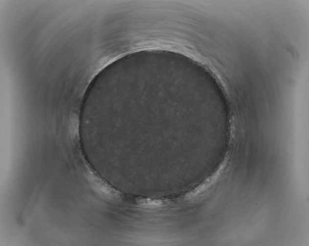 X0000112071505200908181209