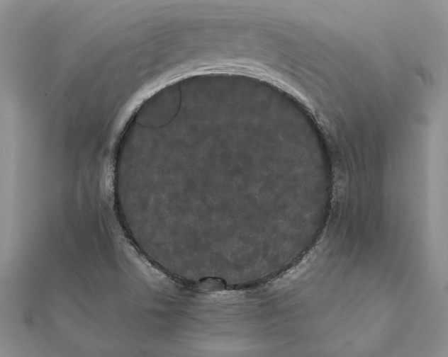 X0000112071506200908181209