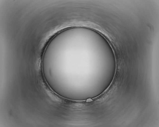 X0000112071507200908181209