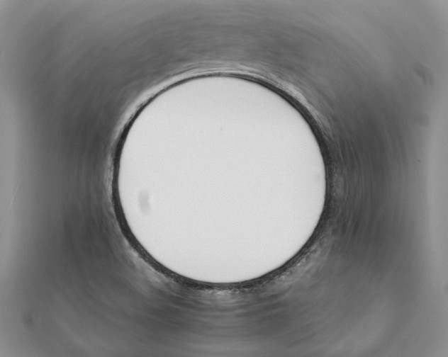 X0000112071508200908181209