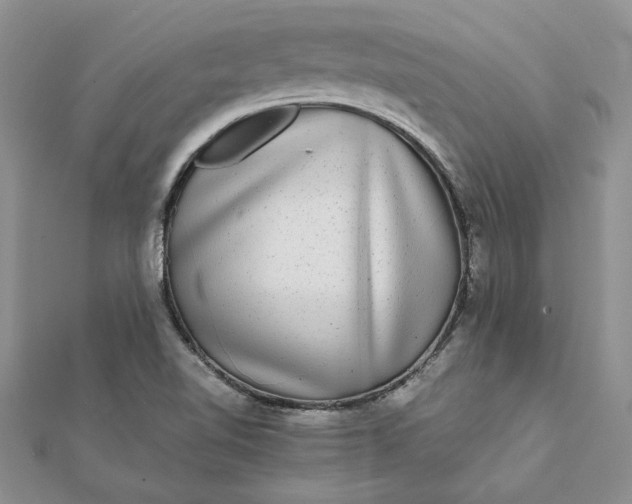 X0000112071510200908181209