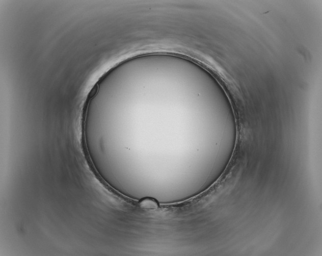 X0000112071512200908181209