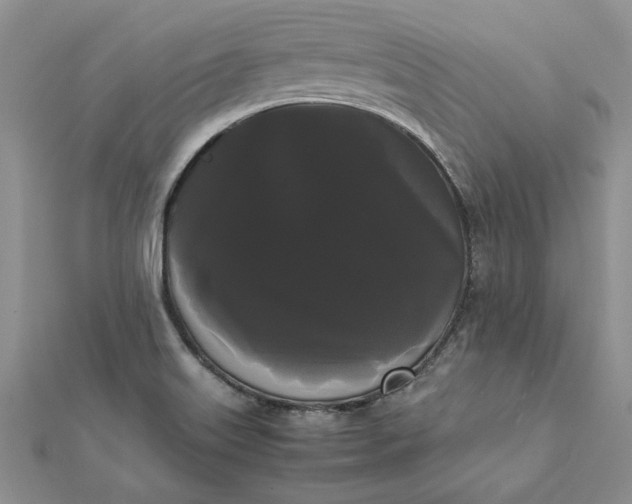 X0000112071515200908181209