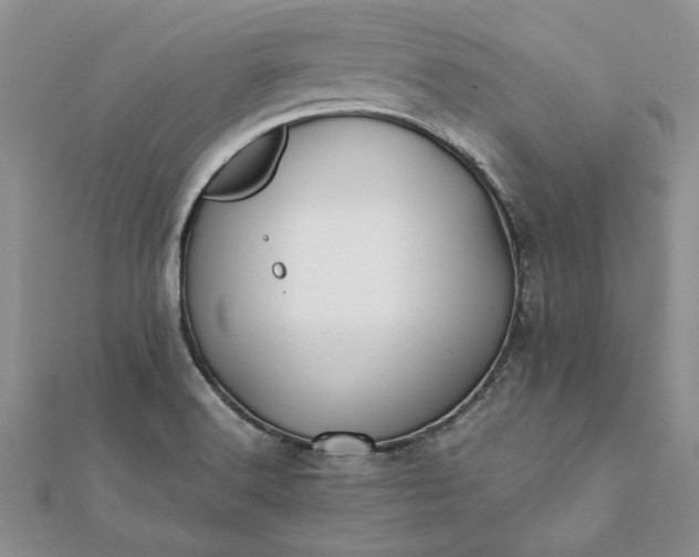 X0000112071516200908181209