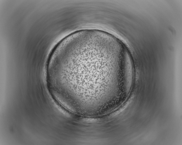 X0000112071517200908181209