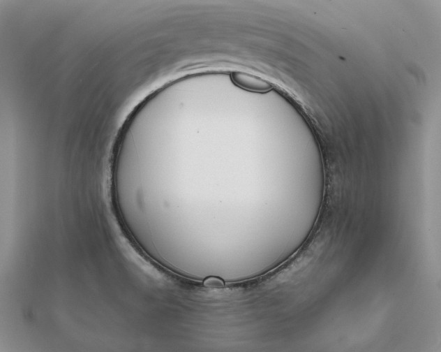 X0000112071518200908181209