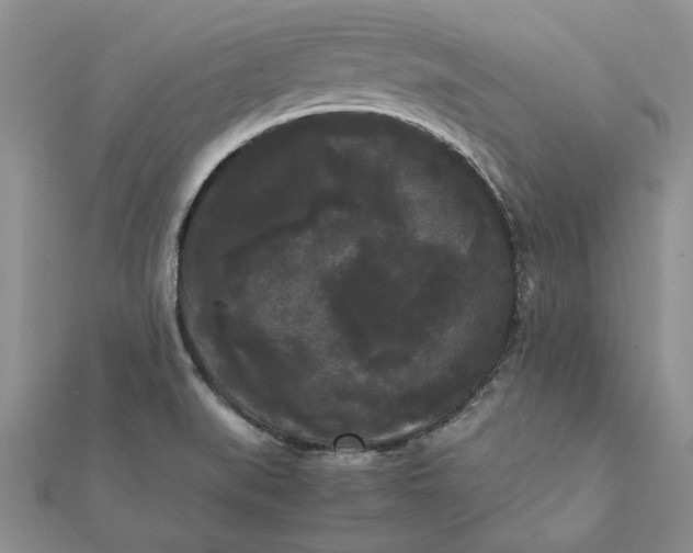 X0000112071519200908181209