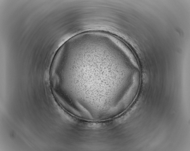 X0000112071521200908181209