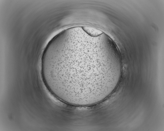 X0000112071523200908181209