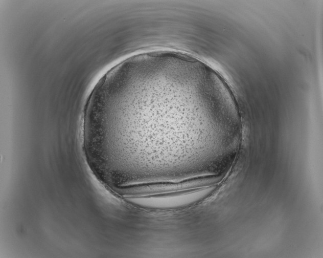 X0000112071524200908181209