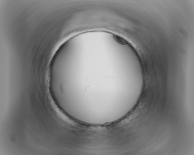 X0000112071526200908181209