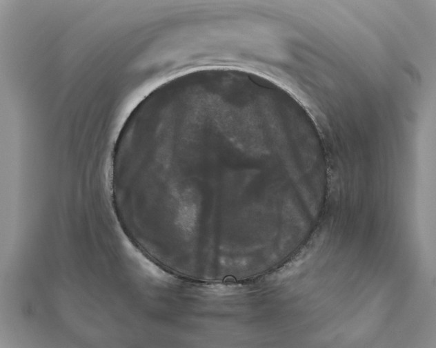 X0000112071527200908181209