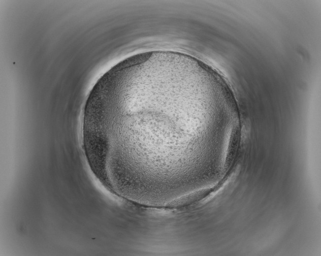 X0000112071528200908181209