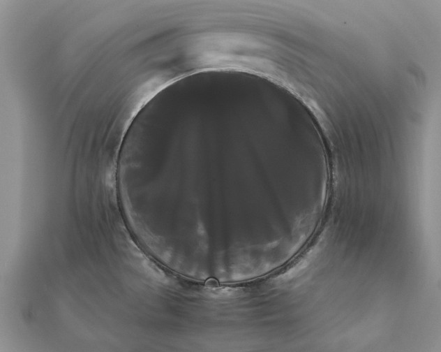 X0000112071529200908181209