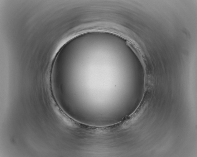 X0000112071530200908181209