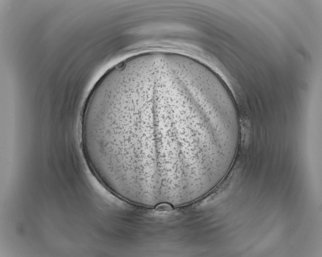 X0000112071531200908181209