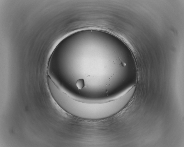 X0000112071532200908181209