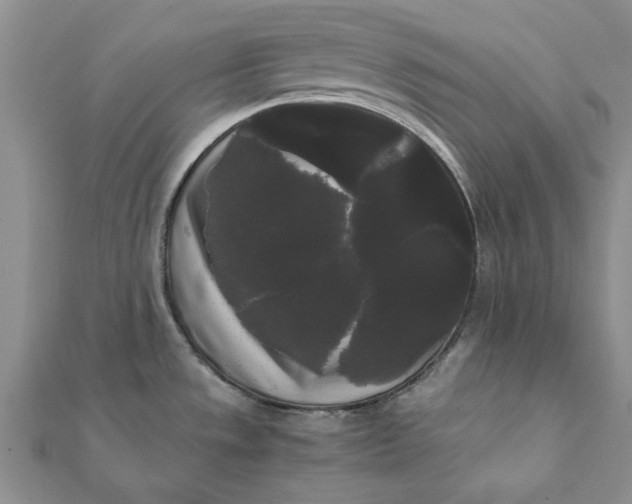 X0000112071533200908181209