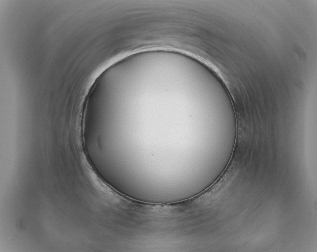 X0000112071534200908181209