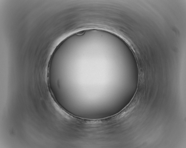 X0000112071535200908181209