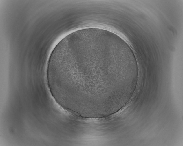 X0000112071536200908181209