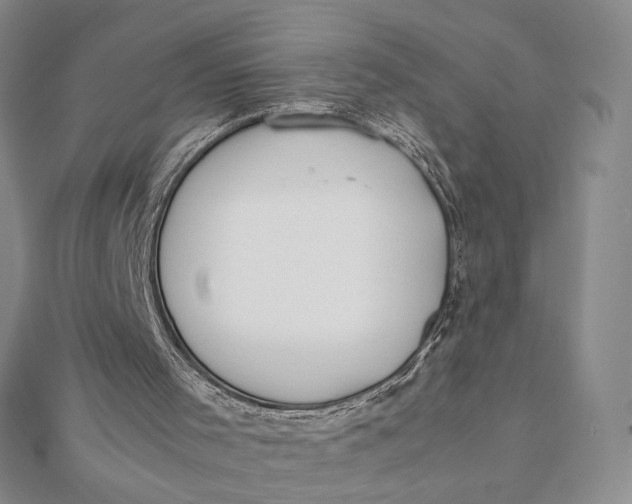 X0000112070001200908251052
