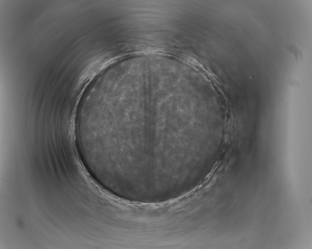 X0000112070002200908251052