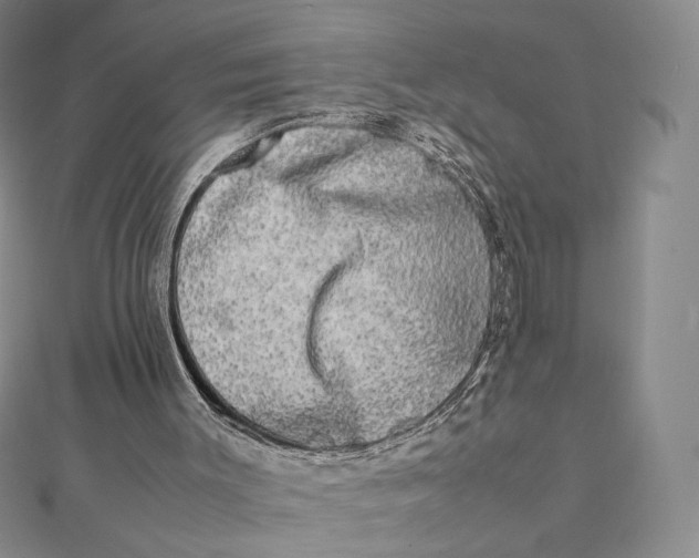 X0000112070003200908251052
