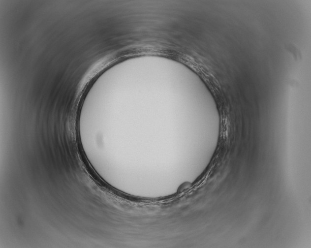 X0000112070004200908251052