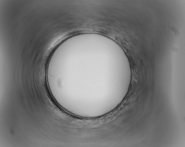 X0000112070005200908251052