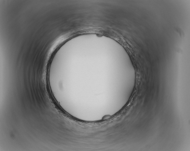 X0000112070006200908251052