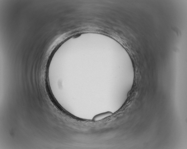 X0000112070007200908251052