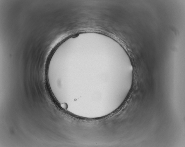 X0000112070008200908251052
