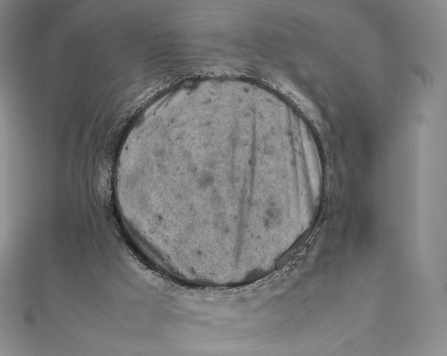 X0000112070009200908251052