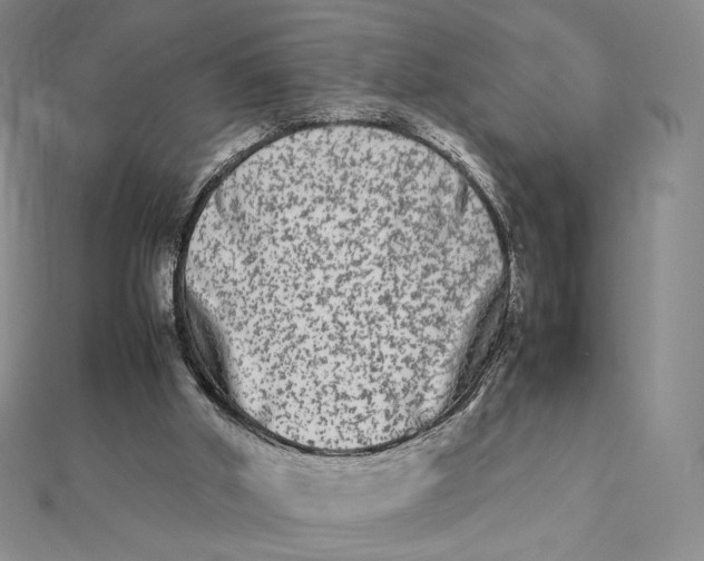X0000112070010200908251052