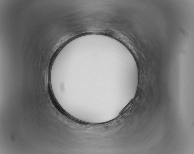 X0000112070011200908251052