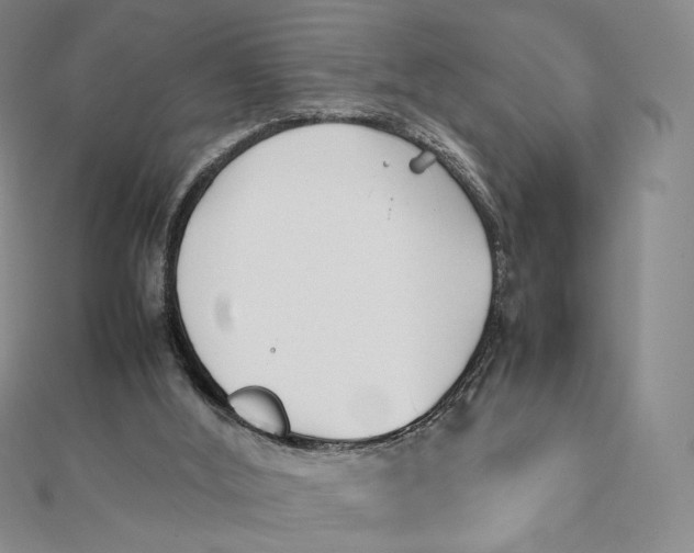 X0000112070012200908251052