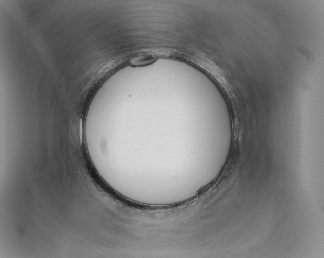 X0000112070013200908251052