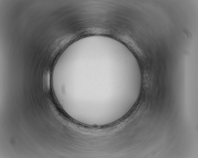 X0000112070014200908251052