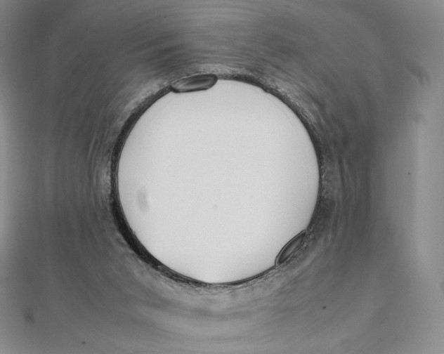 X0000112070015200908251052