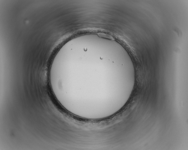 X0000112070016200908251052