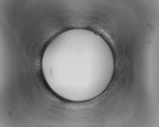 X0000112070017200908251052