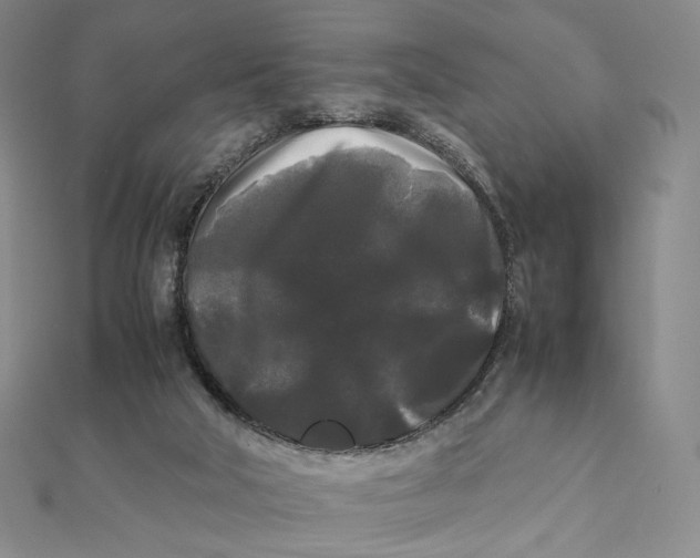 X0000112070018200908251052