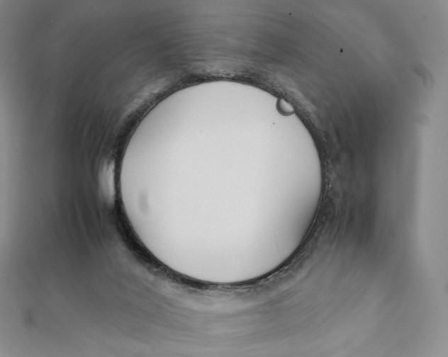X0000112070020200908251052