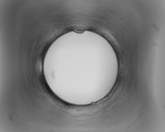 X0000112070021200908251052